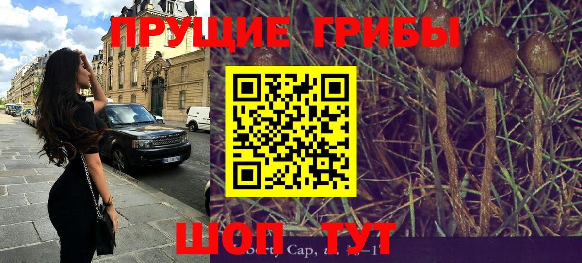 Псилоцибиновые грибы GOLDEN TEACHER Назарово